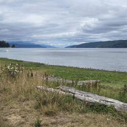 Estuary at Potlatch State Park
