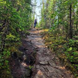 Wanderung zum Aussichtspunkt
