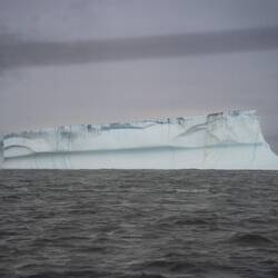 Most likely born on the east shore of Greenland.