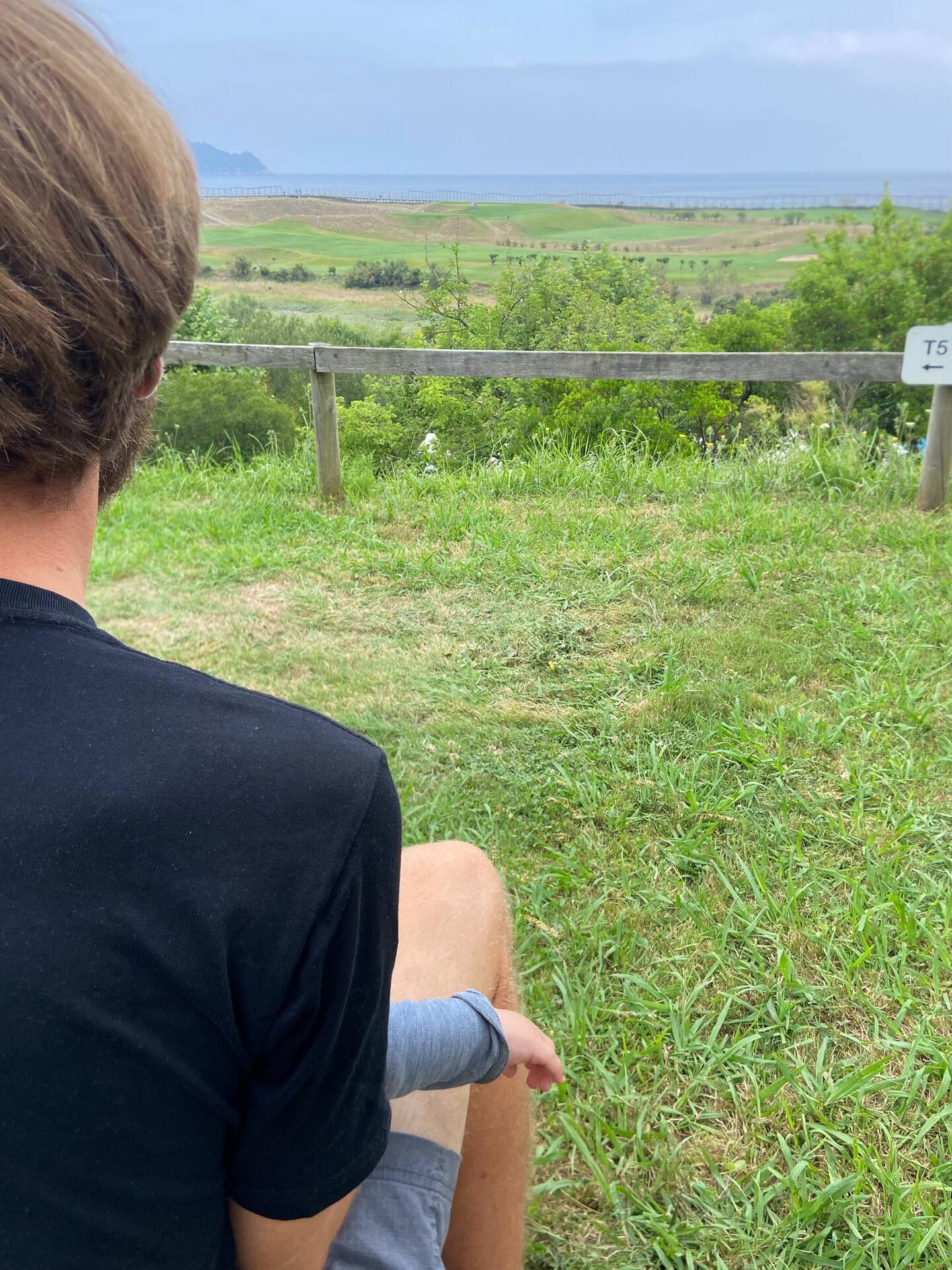 Toilet with a view