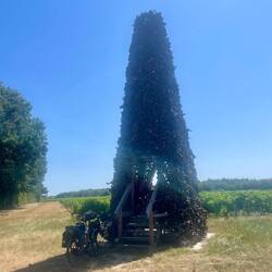 À l'ombre de l'obélisque, une installation idéale pour pique-niquer à quelques km de la maison