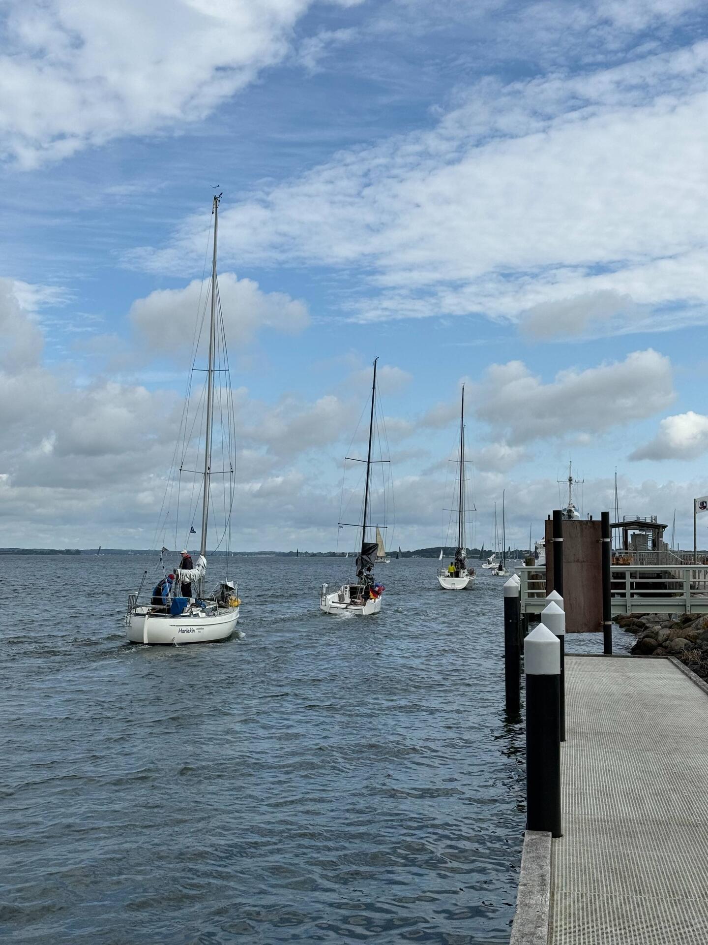 Regattaboote fahren aus