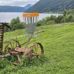 Die Norweger haben das Friesbeegolf entdeckt.