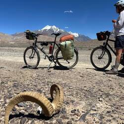 Nous n'avons pas pu observer les bouquetins du Pamir mais les preuves sont là !
