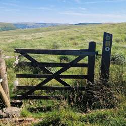 Gate out of forest that kept me tied up for ages. It lead onto health that had the wind farm.