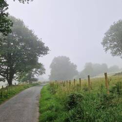 Foggy start