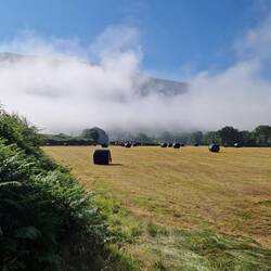 Lingering fog