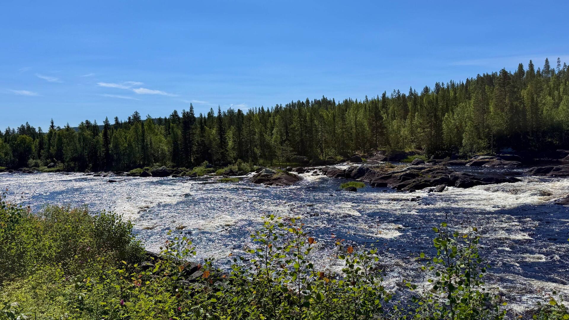 Reissender Fluss Ammerån