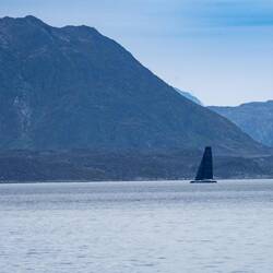 Seatilt, a carbon race machine in Nuuk. That's a surprise.