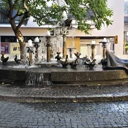 Brunnen in Neustadt