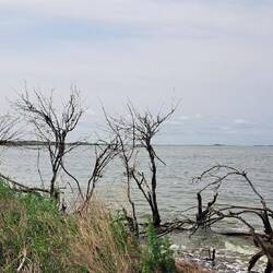 Big Quill Lake - le plus grand lac salé du Canada