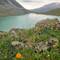 Blumenpracht am Gletschersee
