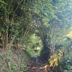 Classic Drovers Lane. Before the coming of the railways these were used to drive animals to market.