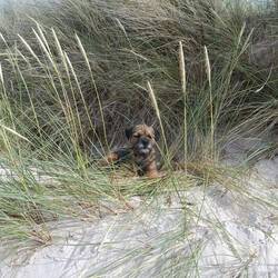 Findet Strand doof