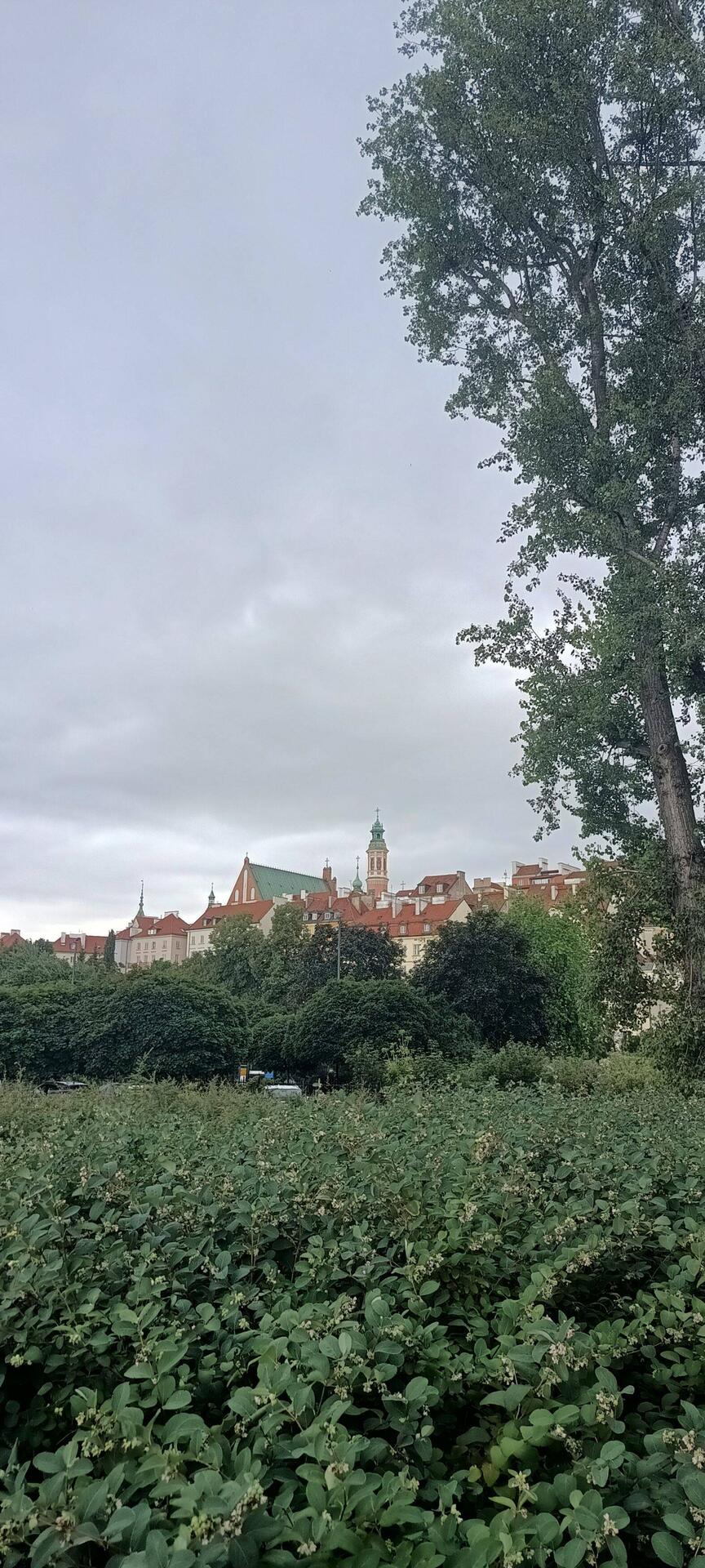 Aussicht vom Wohnmobil auf die Altstadt