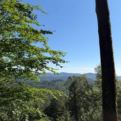 Trifels-Blick