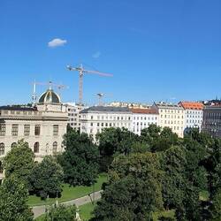 View from my window