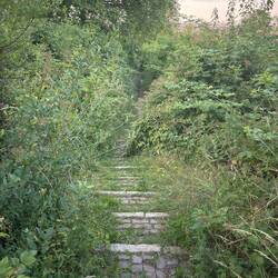Der "Weg" zur Jugendherberge, so wie ihn google Maps vorgeschlagen hat