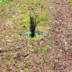A stone culvert crossing a streem.
