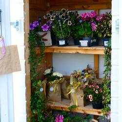 A SWISH and go store