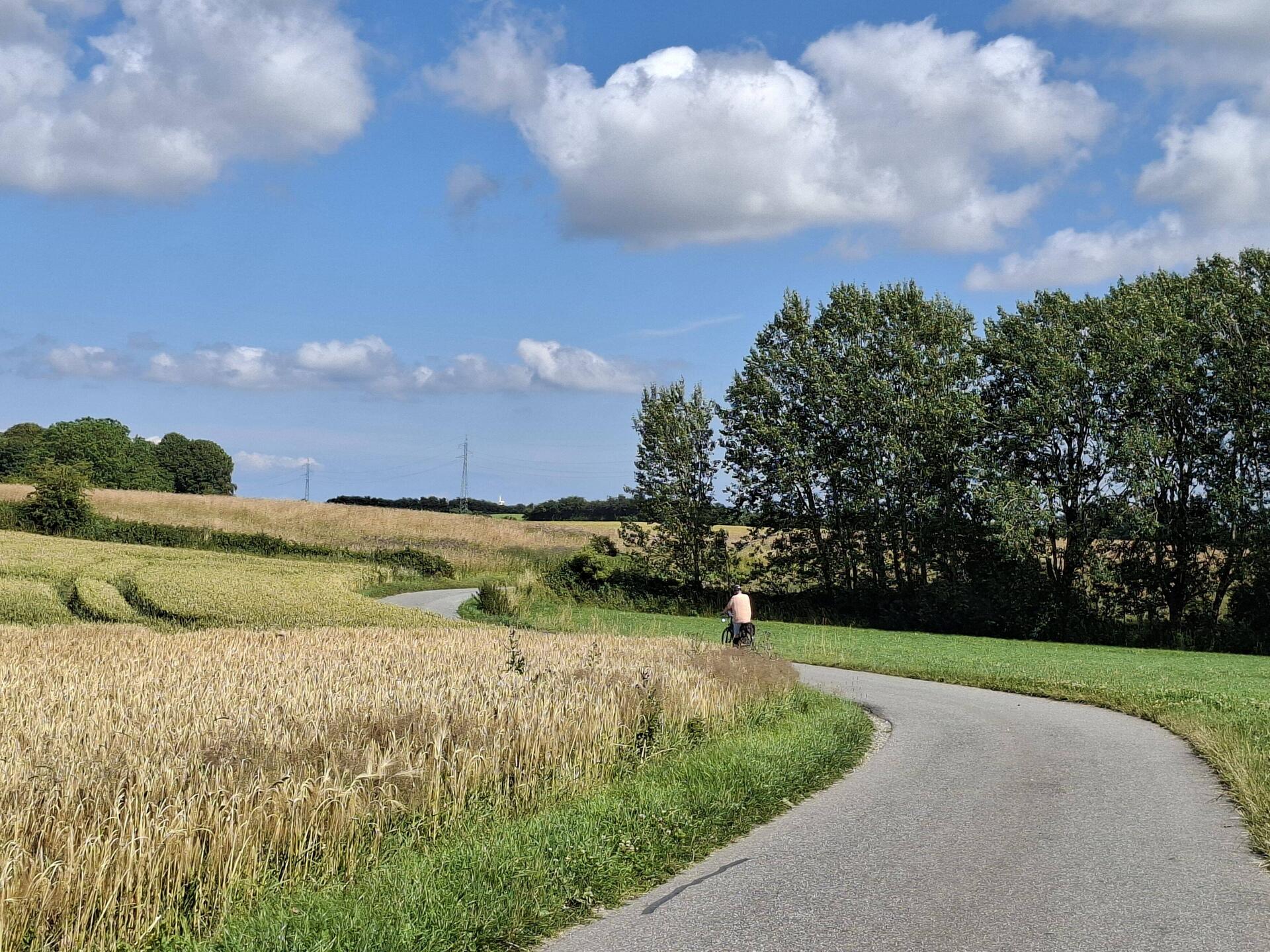 Nebenstraße, in Feldwegsbreite, quasi kein Auto