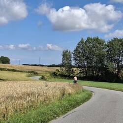 Nebenstraße, in Feldwegsbreite, quasi kein Auto