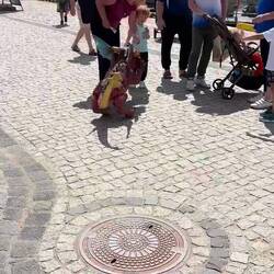 Drache