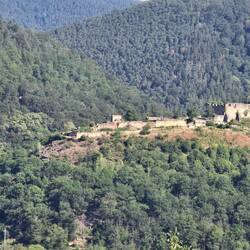 Blick zur Wolfburg