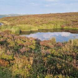 Smaller pool in foreground, larger in the distance