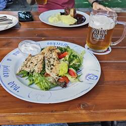 Chicken and salad for lunch