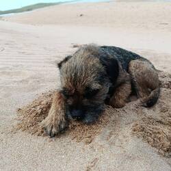 Erschöpft oder erschlagen von schon wieder Strand