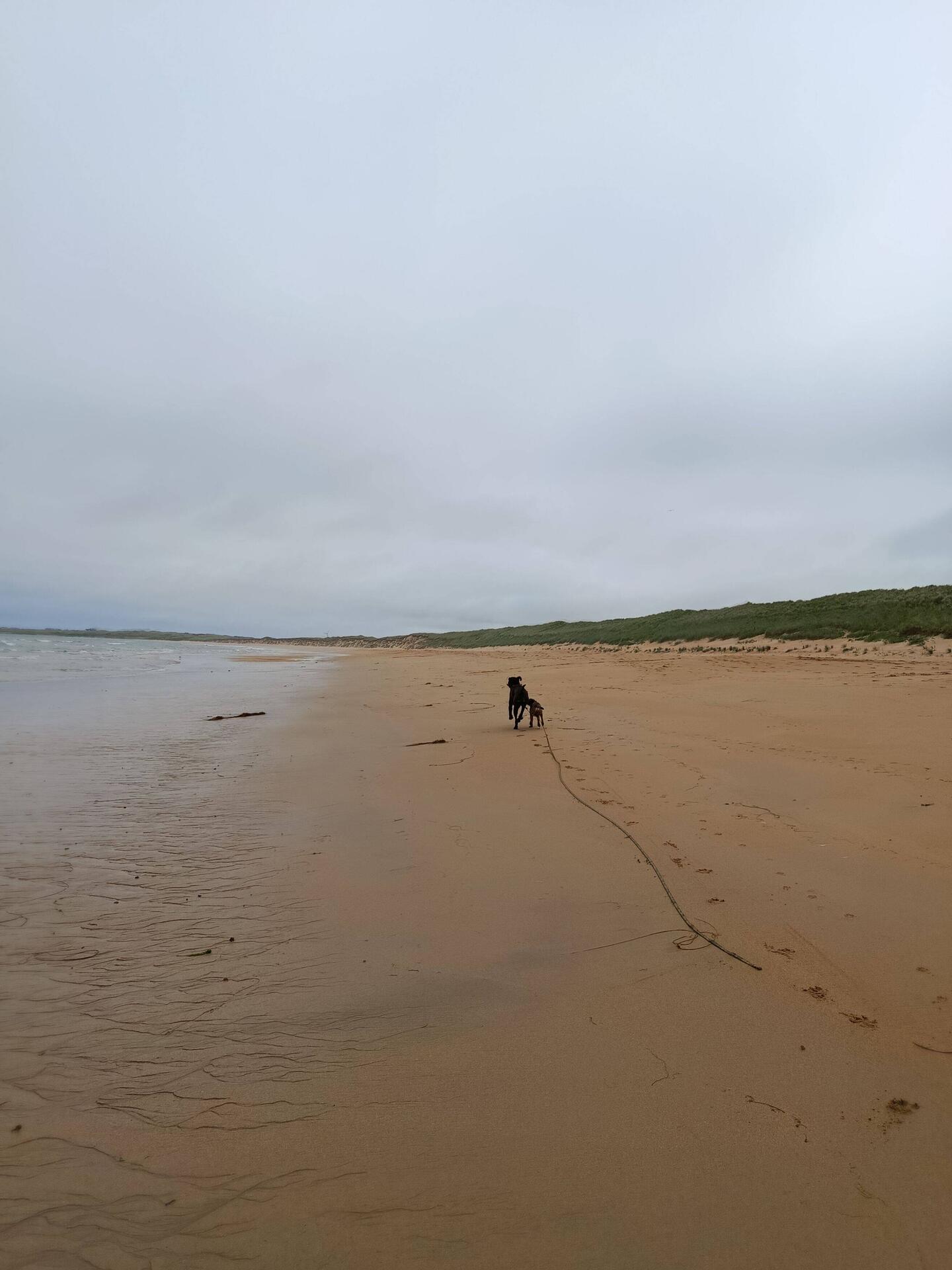 Endlich frei toben, Wetter ist mäßig, so sind wir fast alleine