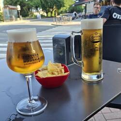 Getting back into the 'beer habit'