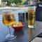 Getting back into the 'beer habit'