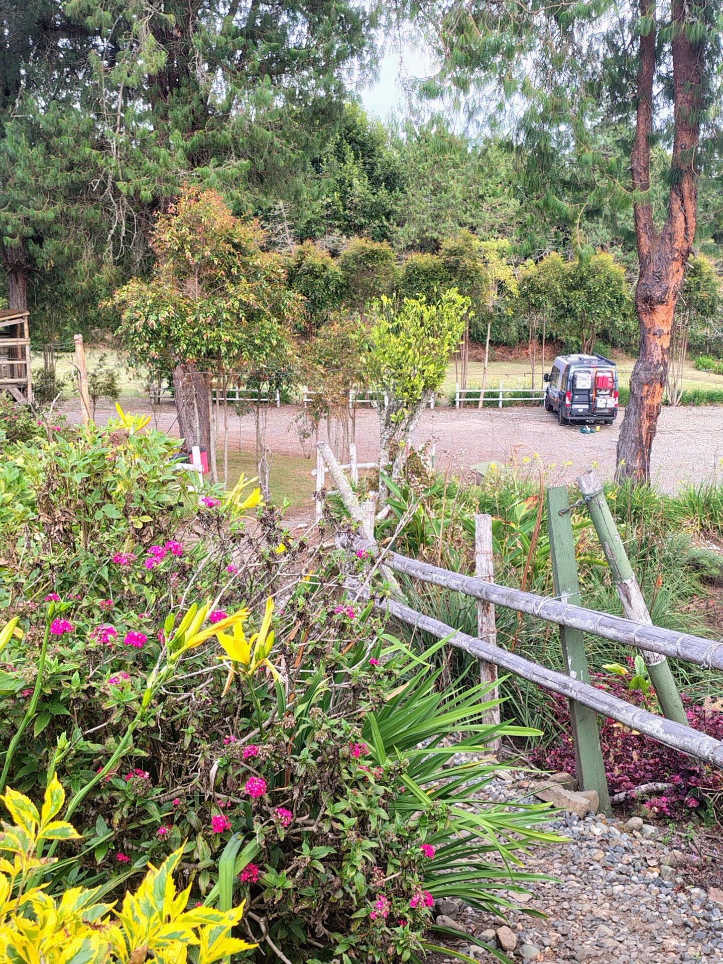 Auf der Bonanza Ranch blüht es überall 🌺