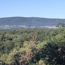 Aussicht vom Rentnersitz auf den Donnersberg