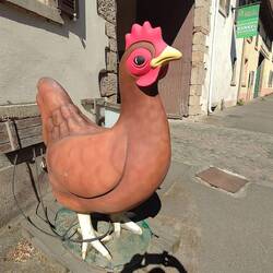 glückliches Huhn?