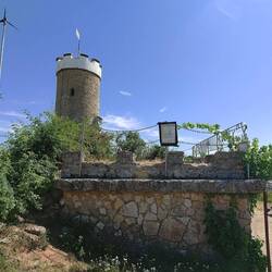 Wartturm bei Albisheim