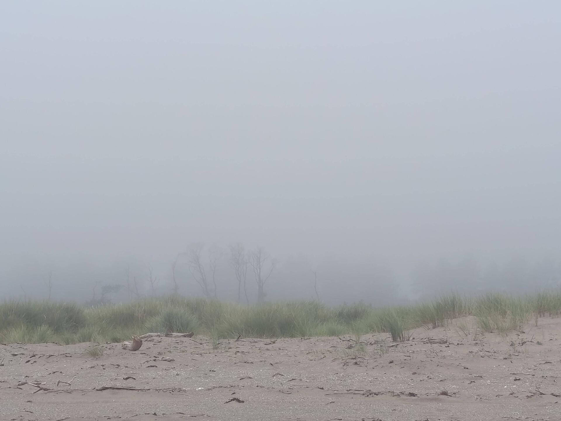 Foggy day
