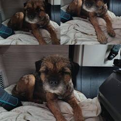 Einfach nur fertig und Bett bereit nach der Runde