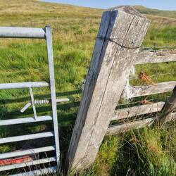 Gate as I found it swinging open because it could not be secured.