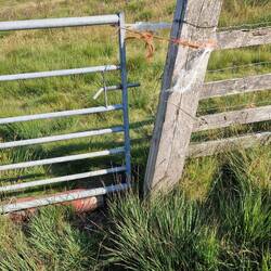 Gate after I had finished tying a loop from the pieces of sting left around