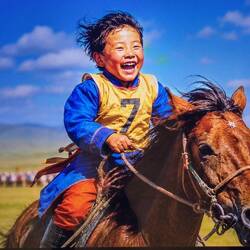 ... Vorfreude aufs Naadam-Festival!