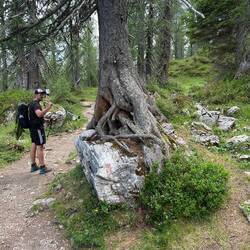 Bizarre Wurzeln