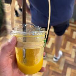 Geschmacksexplosion... einfach nur Mango 🥭