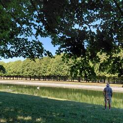 Swans on the Grand Canal at Fontainebleau