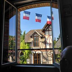 View from our living room window
