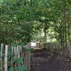 One of the walking paths entering Fontainebleau