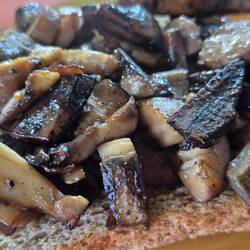 Das erste Pilztoast, so lecker.