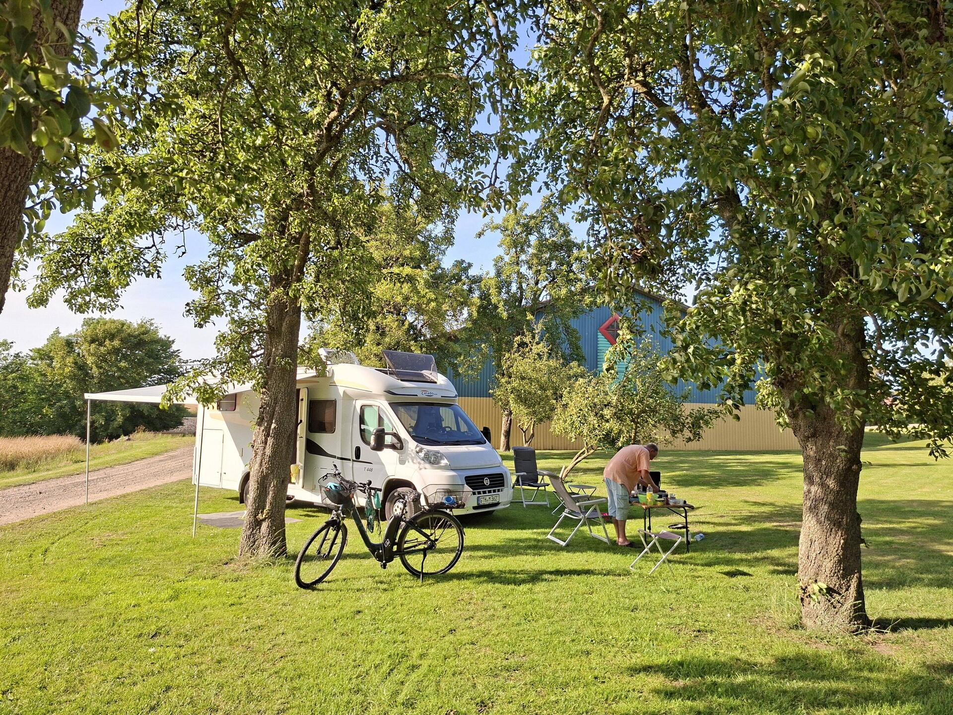 Auf der Birnbaum-Wiese in Mjels